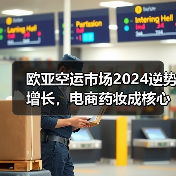 欧亚空运市场2024逆势增长,电商药妆成核心推力 欧亚空运市场2024逆势增长,电商药妆成核心推力