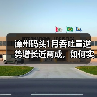 漳州码头1月吞吐量逆势增长近两成，如何实现开门红？（图1）