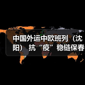中国外运中欧班列（沈阳） 抗“疫”稳链保春耕（图4）