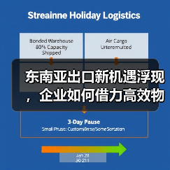 东南亚出口新机遇浮现，企业如何借力高效物流方案？（图3）