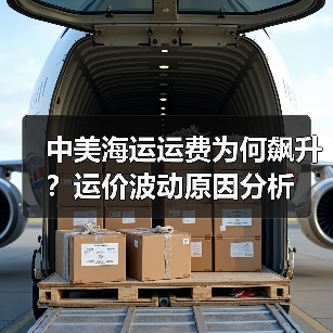 中美海运运费为何飙升?运价波动原因分析(图2) 中美海运运费为何飙升?运价波动原因分析(图2)