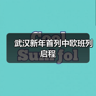 武汉新年首列中欧班列启程（图2）