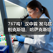 767吨！汉中首 发乌兹别克斯坦、哈萨克斯坦中欧班列（图2）