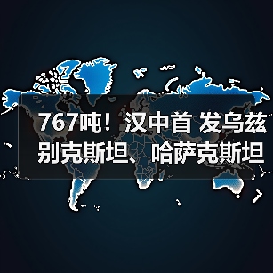 767吨！汉中首 发乌兹别克斯坦、哈萨克斯坦中欧班列（图4）