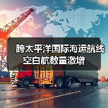 跨太平洋国际海运航线空白航数量激增（图4）