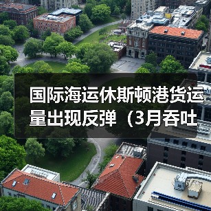 国际海运休斯顿港货运量出现反弹(3月吞吐量达到386864标准箱)(图3) 国际海运休斯顿港货运量出现反弹(3月吞吐量达到386864标准箱)(图3)