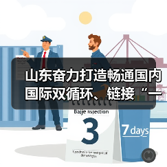 山东奋力打造畅通国内国际双循环、链接“一带一路”的现代化国际物流大通道 山东奋力打造畅通国内国际双循环、链接“一带一路”的现代化国际物流大通道