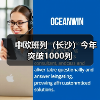 中欧班列(长沙)今年突破1000列(图2) 中欧班列(长沙)今年突破1000列(图2)