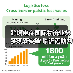 跨境电商国际物流业务实现新突破 临沂港助力商城国际化大有可为(图3) 跨境电商国际物流业务实现新突破 临沂港助力商城国际化大有可为(图3)